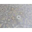 Tapis unique gris de 8 pi 10 po x 12 pi One-of-a-Kind