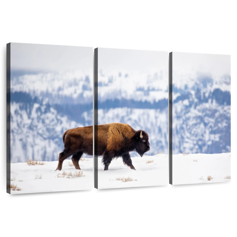 Brampt American Bison During Winter, 28" H x 45" W