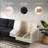 107" L-Shaped Sectional Sofa with Memory Foam & Linen-1179643013