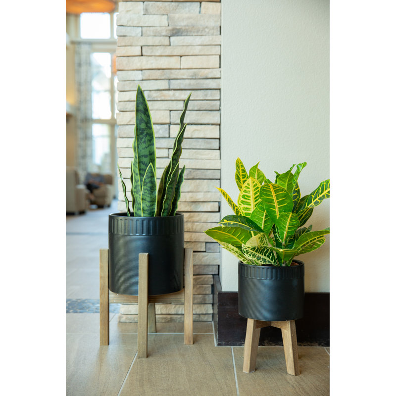 Carita Handmade Ceramic Pot Planter, Black