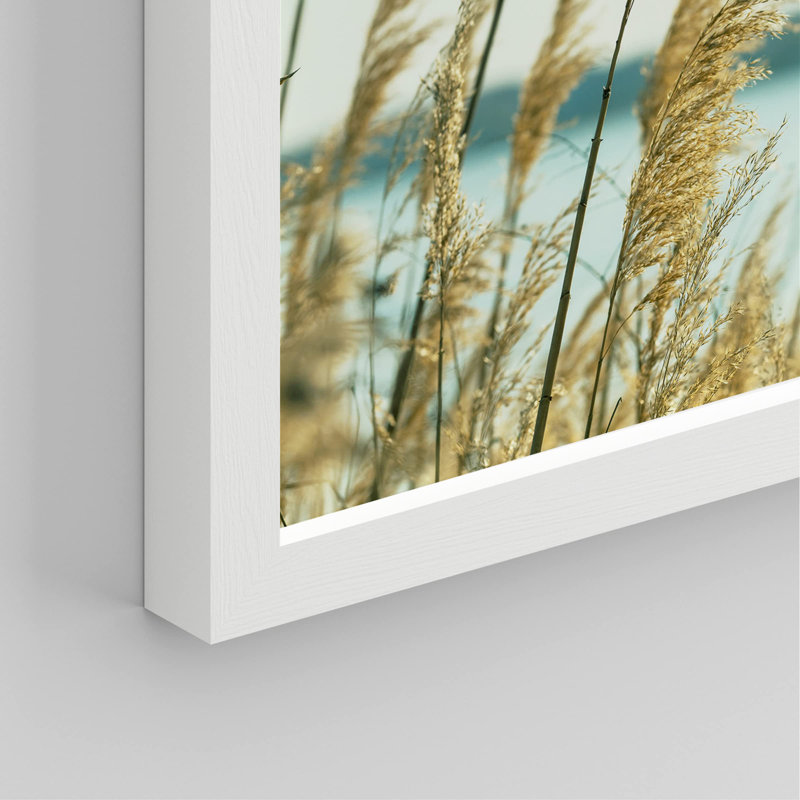 «White Winter California Beach Grass Ocean Horizons», impression sur papier 4 pièces, Blanc, H 14 po x l 11 po