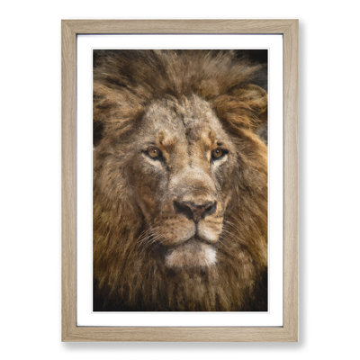 Face of a Lion - Picture Frame Painting