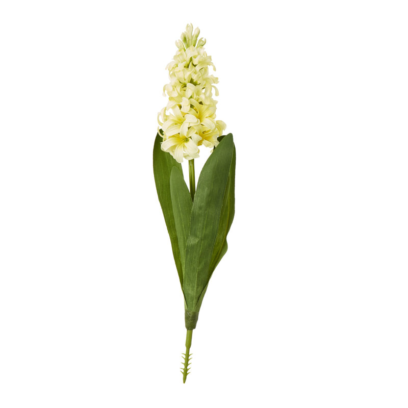 Anastasija Arrangement, Yellow, 44 cm H x 4 cm W x 4 cm D
