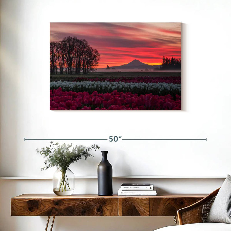 Coucher de soleil sur un champ de tulipes Alvord, H 24 po x l 36 po