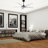 Ahriya 5 - Blade LED Smart Standard Ceiling Fan with Remote Control and Light Kit Included-487786419-403971652