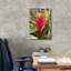  «Guzmania Flower» par Dante Plata, art mural sur toile, 18 po x 26 po-1082147033