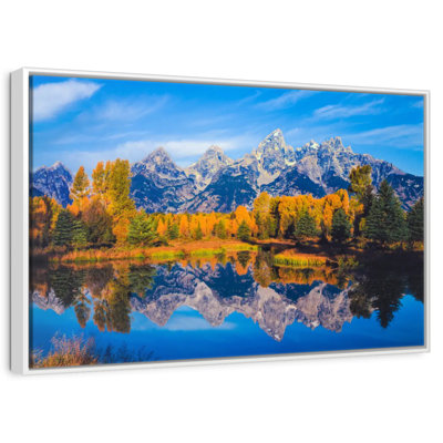 Feuillage doré Grand Teton