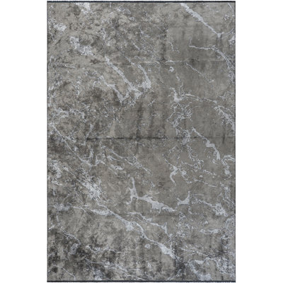 Tapis gris foncé / gris argenté Rapture
