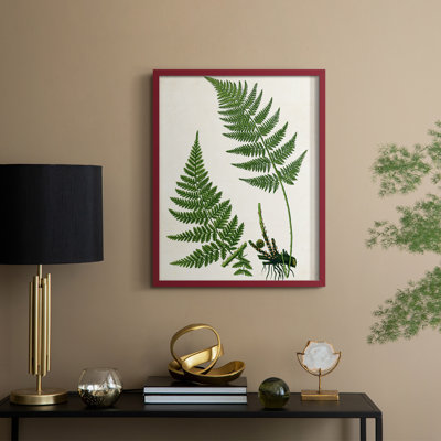 Impression encadrée Fern II - bois massif