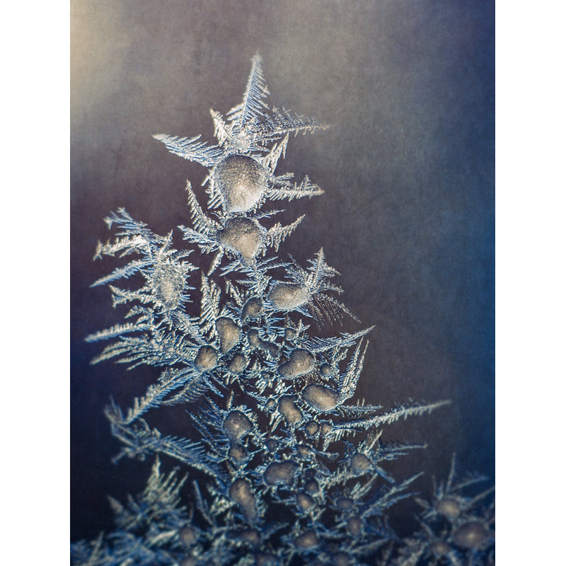 Frost par Scott Norris, H 21,25 po x l 17,25 po x P 0,875 po