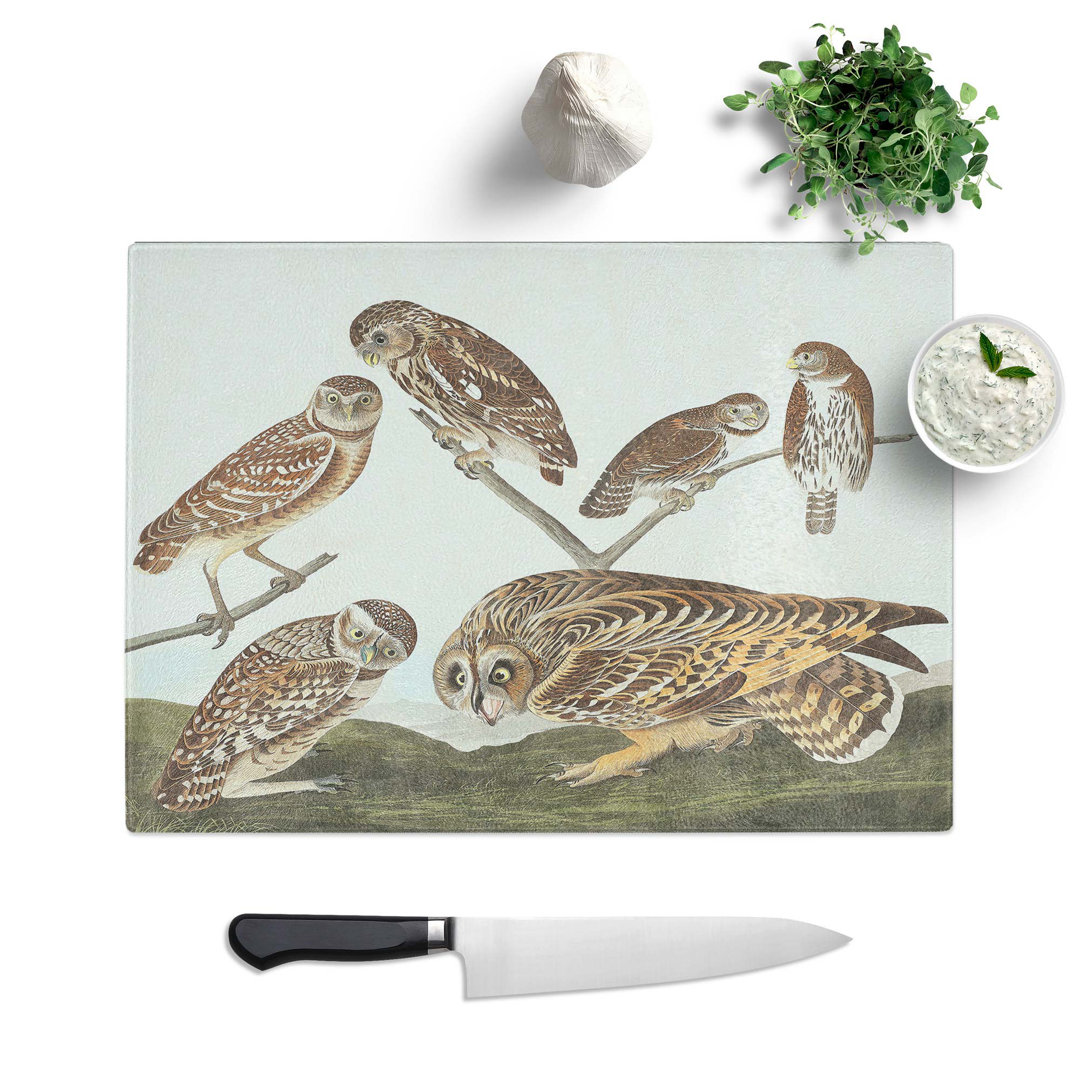 Tempered Glass Selection of Owls by John James Audubon Chopping Board