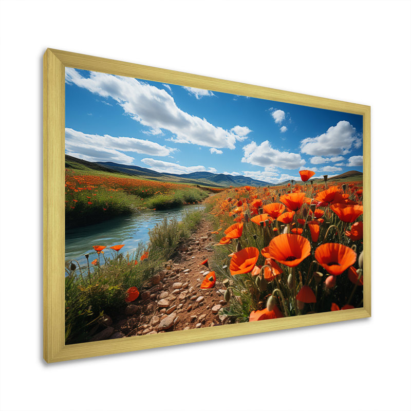 Kolette, Espagne, champs de coquelicots sur toile, H 12 po x l 20 po x P 1 po, Cadre doré à une seule photo