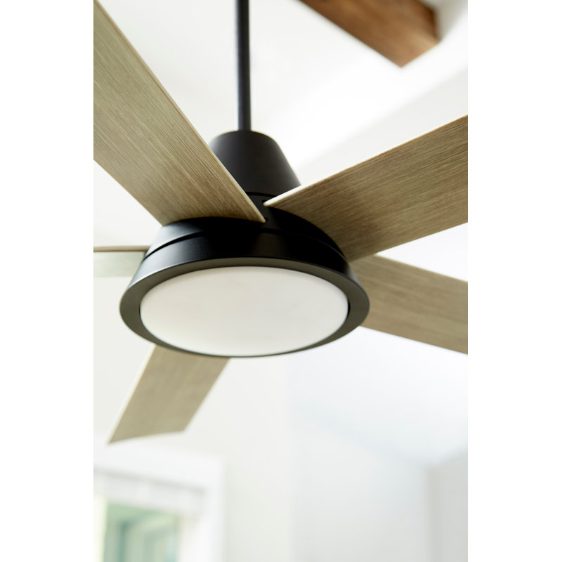 TEMPLE 56" DAMP FAN - SN, Noir avec pales gris patiné