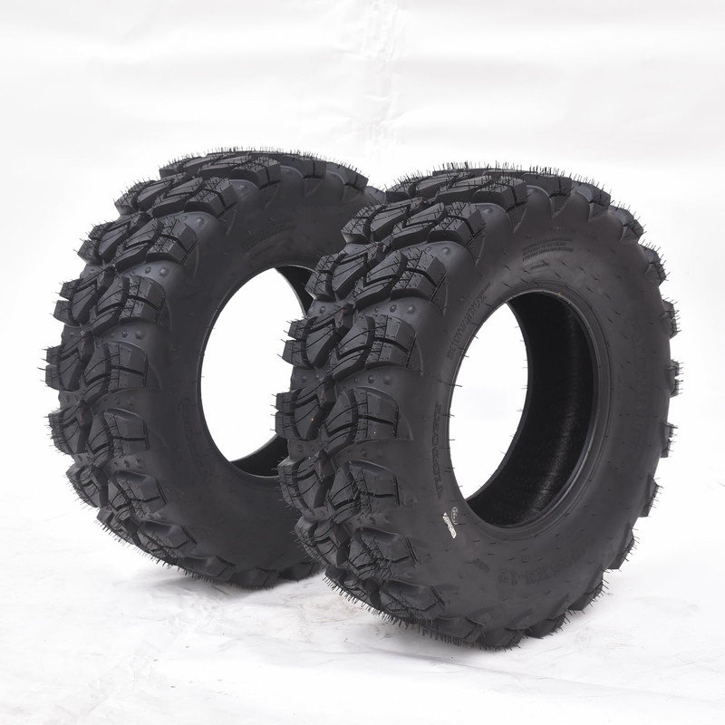 Reptile Accessories Kit