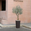 Olive artificielle Adcock résistante aux rayons UV avec grand pot de fleurs, olivier artificiel pour la décoration extérieure-1315299338-1310085053