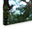Ann «Sloth», reproduction de photo sur toile tendue Ann-24190913