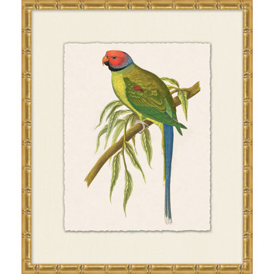 Tropical Parrot 6 Painting