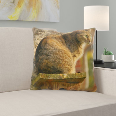 Coussin pour chat