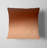 Throw Pillow With Insert-105617246-105617892