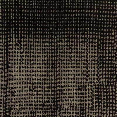 Zilynn Oriental Indoor Rug