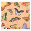 Metamorphosis Napkin