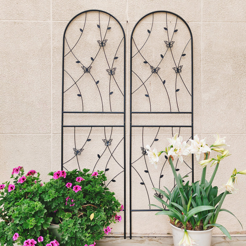 Treillis de jardin polyvalent en métal pour diverses plantes grimpantes, rehaussant la beauté extérieure