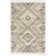 Ileyah Southwestern Indoor Rug