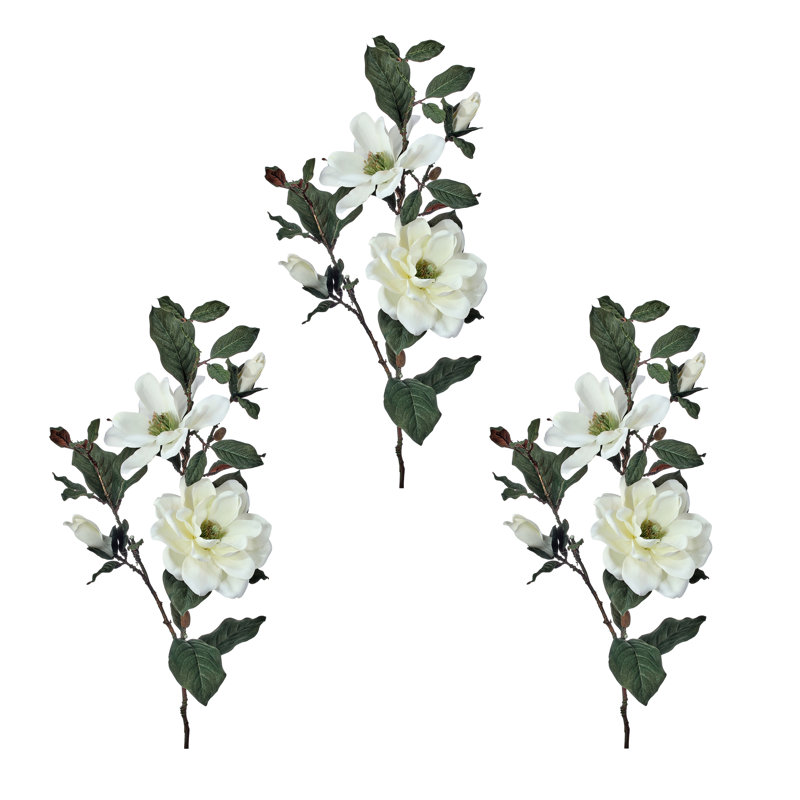 38 po vaporisateur Charleston Magnolia 