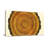 Plants & Flowers Tree Ring Pattern Print Canvas Art-2043757224