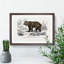 Brown Bear by Charles d'Orbigny - Picture Frame Painting Print on MDF-55512869-55512877