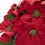 Arrangement floral poinsettia dans un vase
