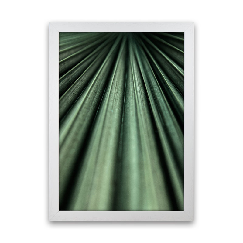 Green Palm Leaf by Victoria Frost - Print, White Framed, 63cm H x 46cm W x 3cm D