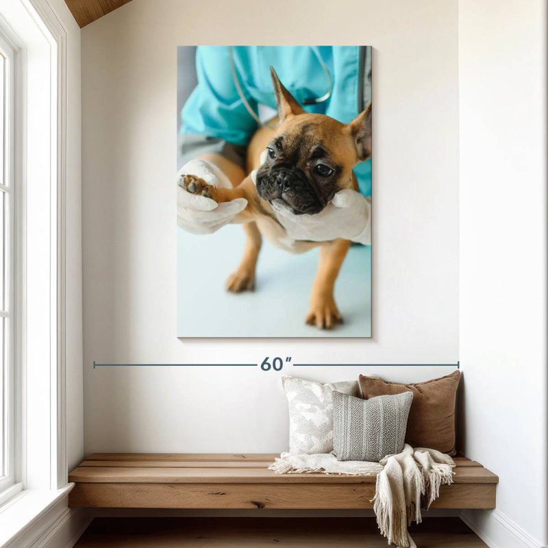 Brampt Pet Care, 48" H x 32" W