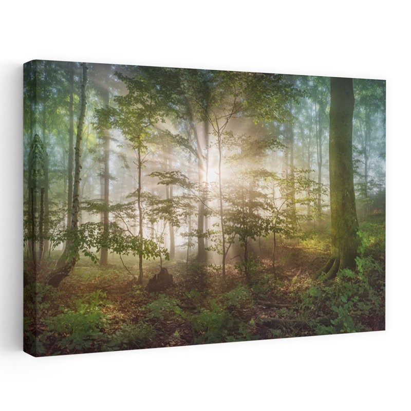 «Morning Sun», art contemporain de paysage forestier abstrait, H 16 po x l 24 po