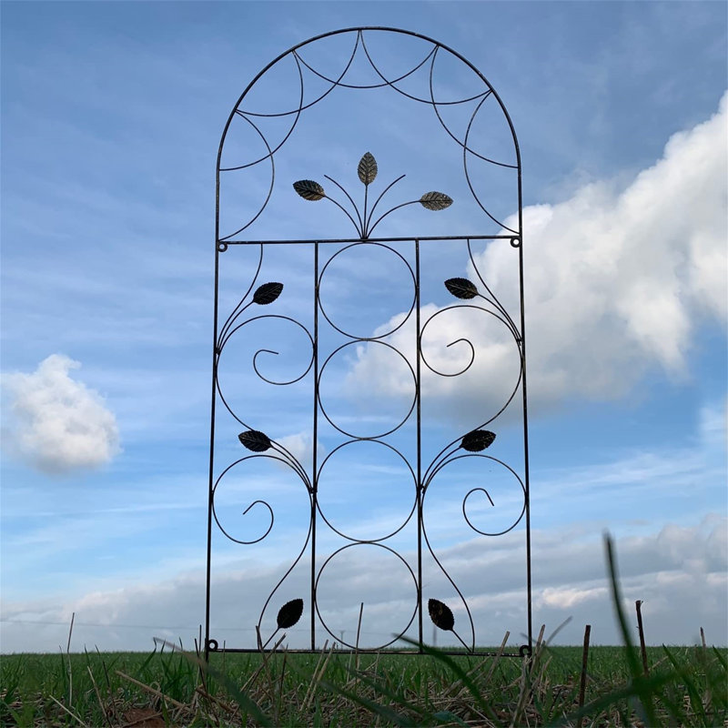 Winovich 120Cm H x 50Cm W Metal Bronze Coloured Arched Trellis