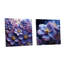 Ensemble de 2 décorations murales en acrylique Royal Elegance - Violets-1368277447