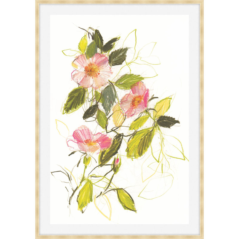 Dog Roses 1 Print, 37.75" H x 26.75" W