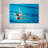 Sireci Synchronized Swimmers-108126908