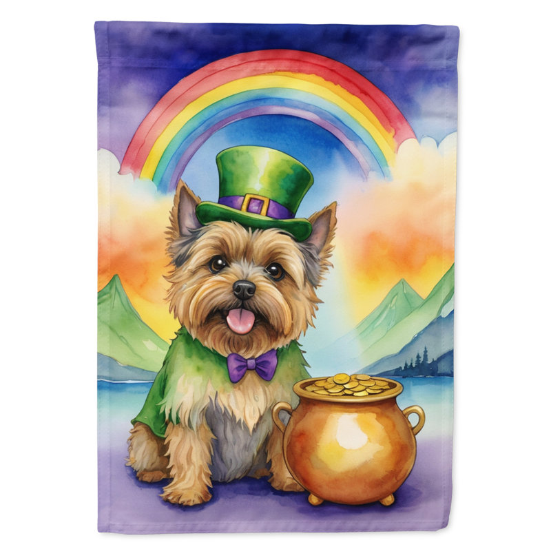 Drapeau de jardin double face en polyester H 15,5 po x l 11,25 po St Patrick's Day
