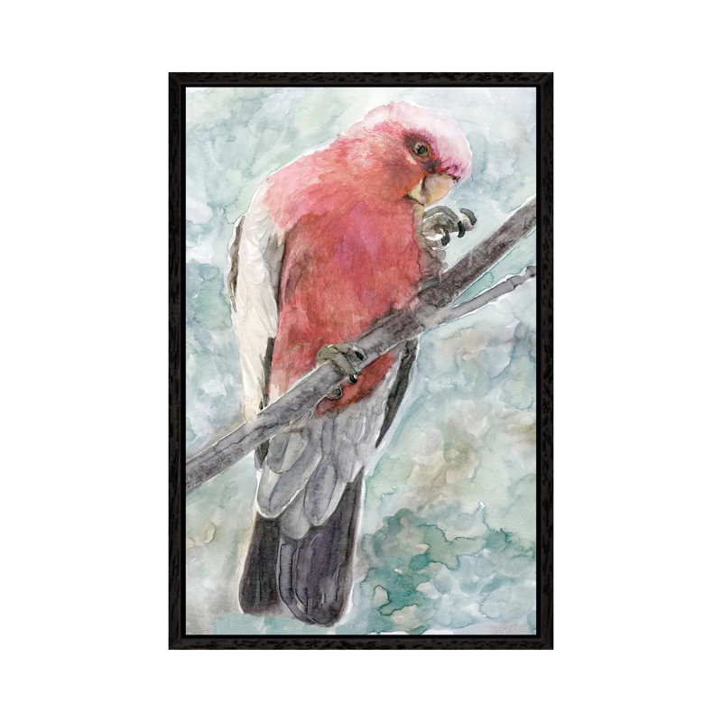 Tropic Parrot I by Stellar Design Studio - Floater Frame Gallery-Wrapped Canvas Giclée on Canvas, 101.6 cm H x 66.04 cm W