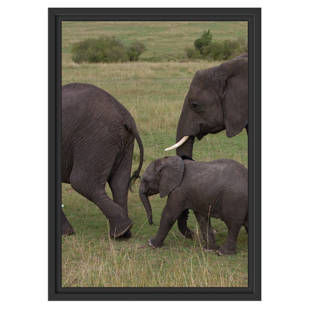 Gerahmtes Wandbild wandernde Elefantenfamilie