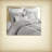 Soft Gray Cotton Bedding Sets Modern Comfort Full/queen