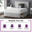Urbank Divan Bed Base-953821341-1049799231-953821342