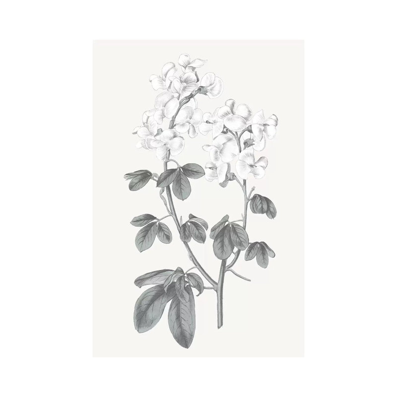 Neutral Botanical III - Wrapped Canvas Painting, 30.48cm H x 20.32cm W x 1.905cm D
