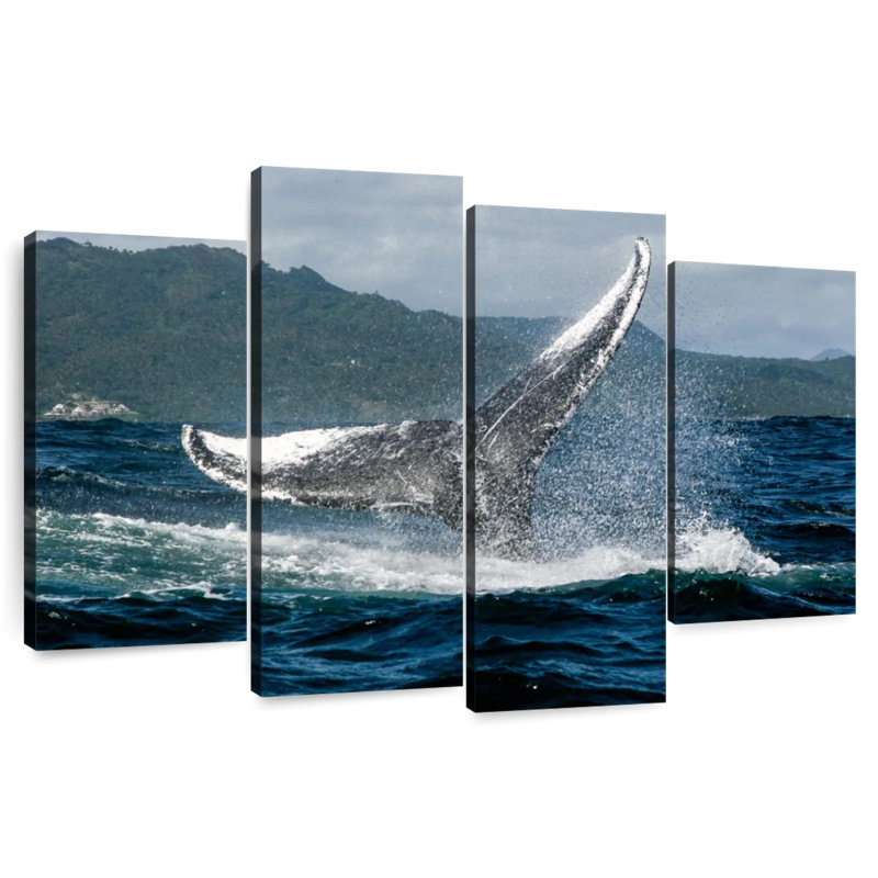 Brampt Samana Humpback Whale, 32'' H x 52'' W