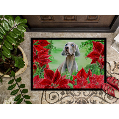Non-Slip Christmas Outdoor Doormat