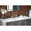 Artifacts Widespread Bathroom Sink Faucet Handles-1278948207
