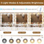 Dufault Single Bathroom Vanity-588142304