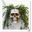 Pot à fleurs Skull Fence-1730949685