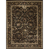 Extravagance II Oriental Hand-Knotted Rectangle Wool/Silk Area Rug in Black/Brown/Ivory